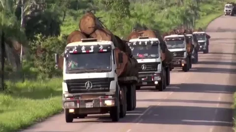 6×4 Tractor Unit for Timber Transportation