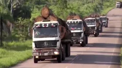 6×4 Tractor Unit for Timber Transportation